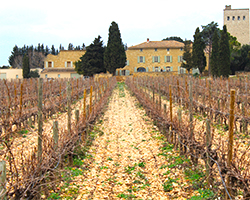 Rhône - Château de la Gardine